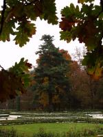 Kozłówka - Muzeum Zamoyskich