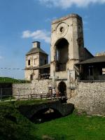 Krzyżtopór - zamek w Ujeździe