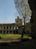 Krzyżtopór - zamek w Ujeździe