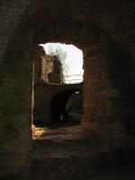 Krzyżtopór - zamek w Ujeździe