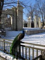 WARSZAWA W OBIEKTYWIE (kolekcja albumów): ŁAZIENKI - rezydencja Stanisława Augusta