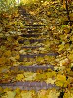 WARSZAWA W OBIEKTYWIE (kolekcja albumów): ŁAZIENKI - rezydencja Stanisława Augusta