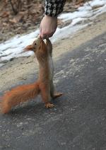 WARSZAWA W OBIEKTYWIE (kolekcja albumów): ŁAZIENKI - rezydencja Stanisława Augusta