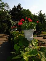 WARSZAWA W OBIEKTYWIE (kolekcja albumów): WILANÓW - rezydencja Jana III Sobieskiego