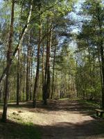 WARSZAWA W OBIEKTYWIE (kolekcja albumów): Zielony oddech Warszawy - Lasek na Kole