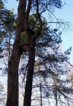 WARSZAWA W OBIEKTYWIE (kolekcja albumów): Zielony oddech Warszawy - Lasek na Kole