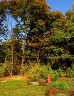 WARSZAWA W OBIEKTYWIE (kolekcja albumów): Zielony oddech Warszawy - Park Praski