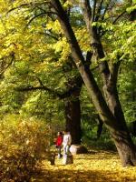 WARSZAWA W OBIEKTYWIE (kolekcja albumów): Zielony oddech Warszawy - Park Praski