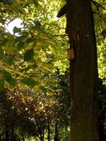 WARSZAWA W OBIEKTYWIE (kolekcja albumów): Zielony oddech Warszawy - Park Praski