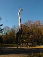 WARSZAWA W OBIEKTYWIE (kolekcja albumów): Zielony oddech Warszawy - Park Praski