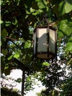 WARSZAWA W OBIEKTYWIE (kolekcja albumów): Zielony oddech Warszawy - PARK WILANOWSKI