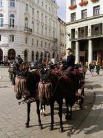 Austria- Wiedeń// Stare Miasto