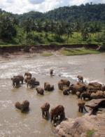 Turcja: Wyspa CEJLON czyli Republika Sri Lanka