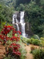 Turcja: Wyspa CEJLON czyli Republika Sri Lanka