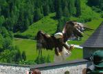 COŚ DLA OKA -- czyli najnowsze zdjęcia w FOTOGALERIACH:  HOHENWERFEN. Zamek tylko dla orłów