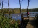 Jezioro Torfy - Mazury koło Otwocka